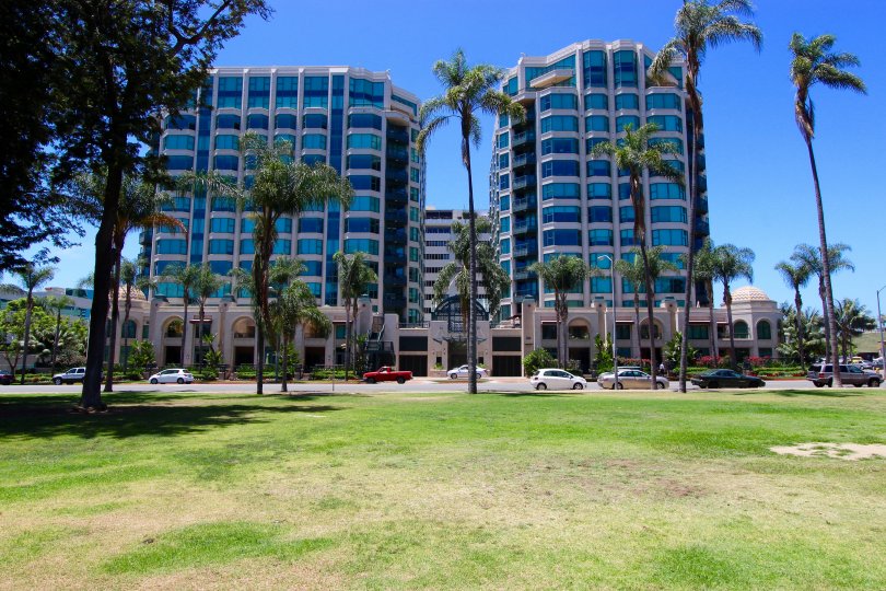 a sunny day in the park laurel with building, coconut trees and