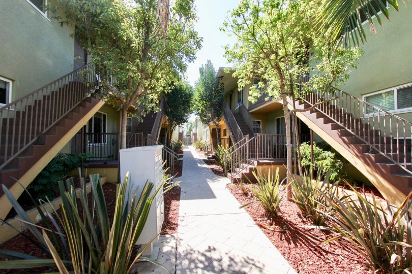 park outside,food truck walkway outside adams ave at the park in normal heights