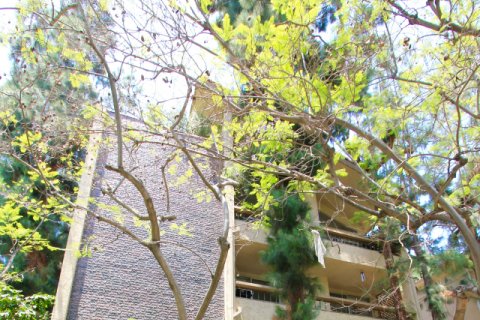 Landmark Beverly Hills