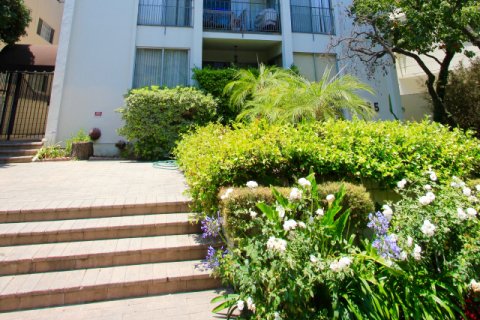 Royal Palm Beverly Hills