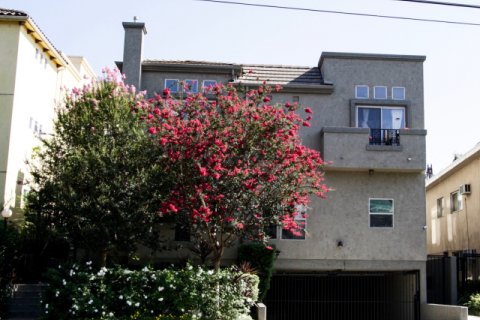 13250 Moorpark St Sherman Oaks