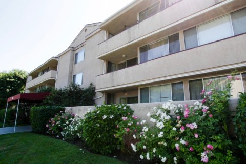 Carlyle Towers Sherman Oaks