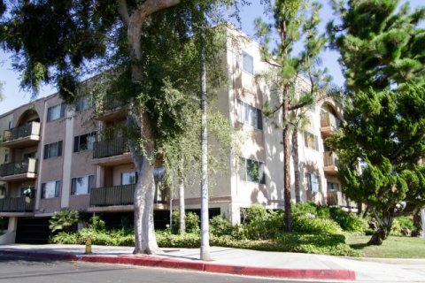 Consulate Sherman Oaks