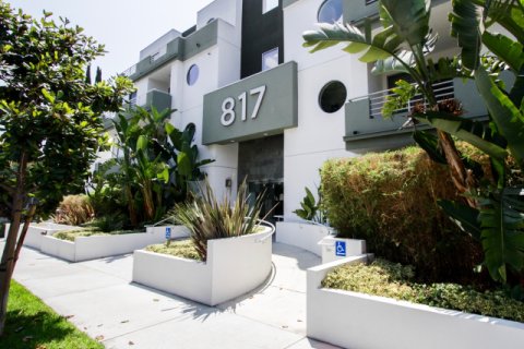 817 Alfred West Hollywood