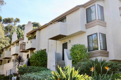 Canyon Rim Clairemont Mesa
