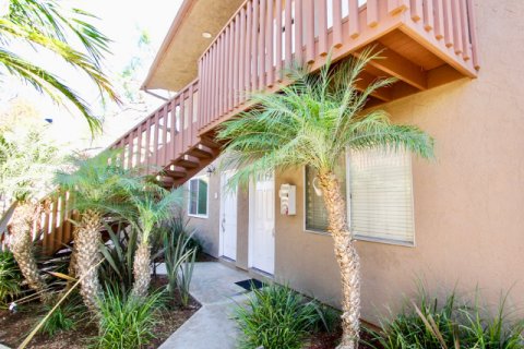On Donax Imperial Beach