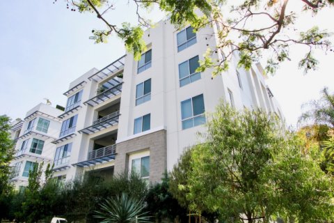 Palm Condominiums beverly hills