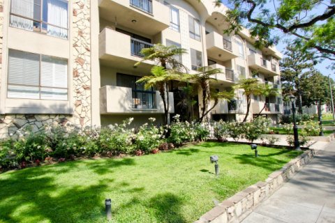 The Beverly Palm Condominiums beverly hills