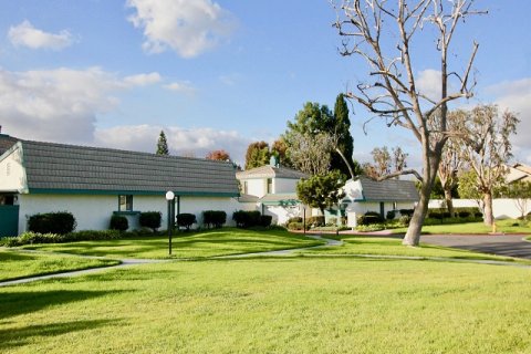 Garden Greens Garden Grove