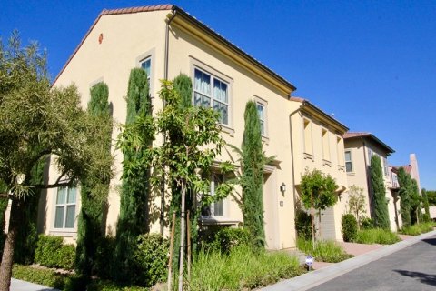 Santa Cruz Irvine