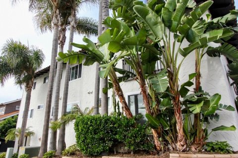 Woods Cove Laguna Beach