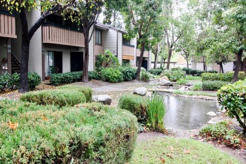 Pheasant Creek Lake Forest