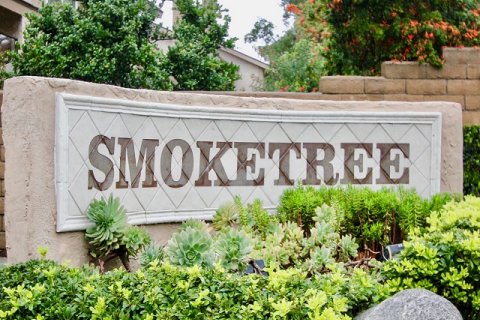 Smoketree Lake Forest