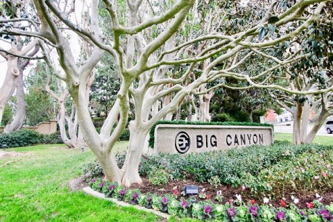 Big Canyon Deane Newport Beach
