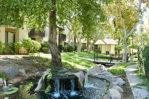 Canyon Tree riverside