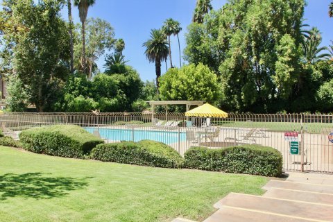 Palm Terrace riverside