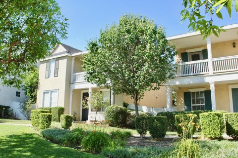 Savannah riverside