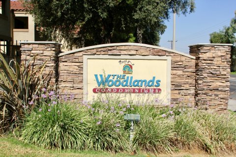 Woodlands riverside