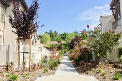 Alegre & Aldea temecula