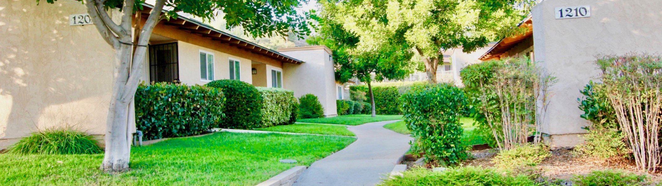 Winter Garden Village