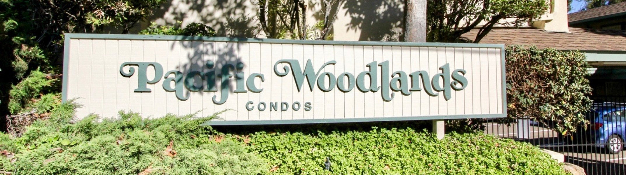 Pacific Woodlands