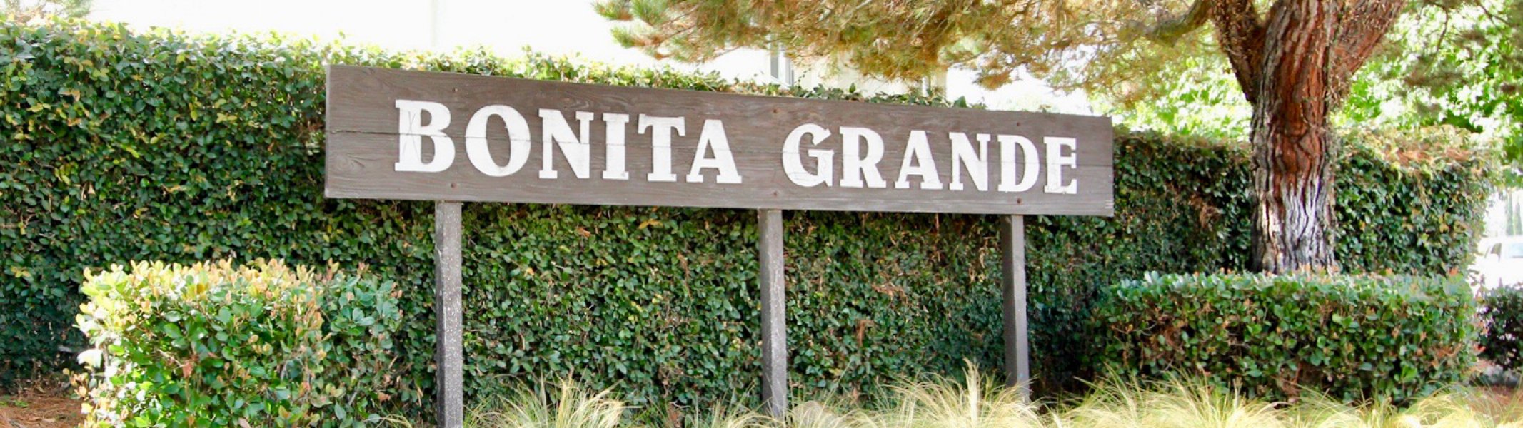 Bonita Grande