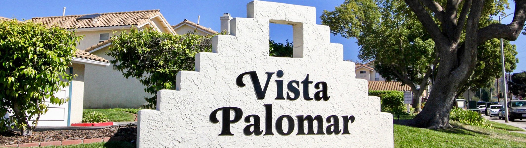 Vista Palomar