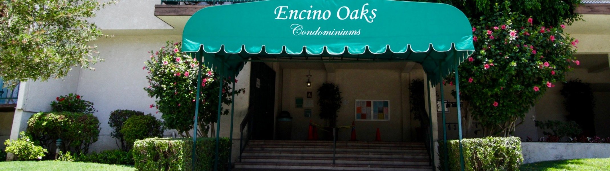 Encino Oaks
