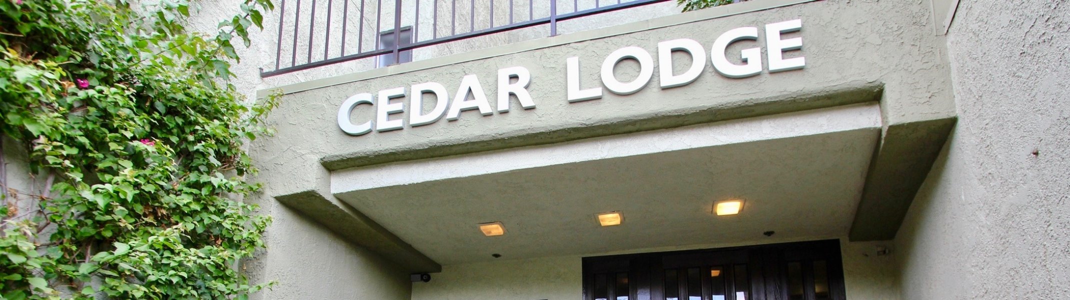 Silver Lake Real Estate Weekly Update