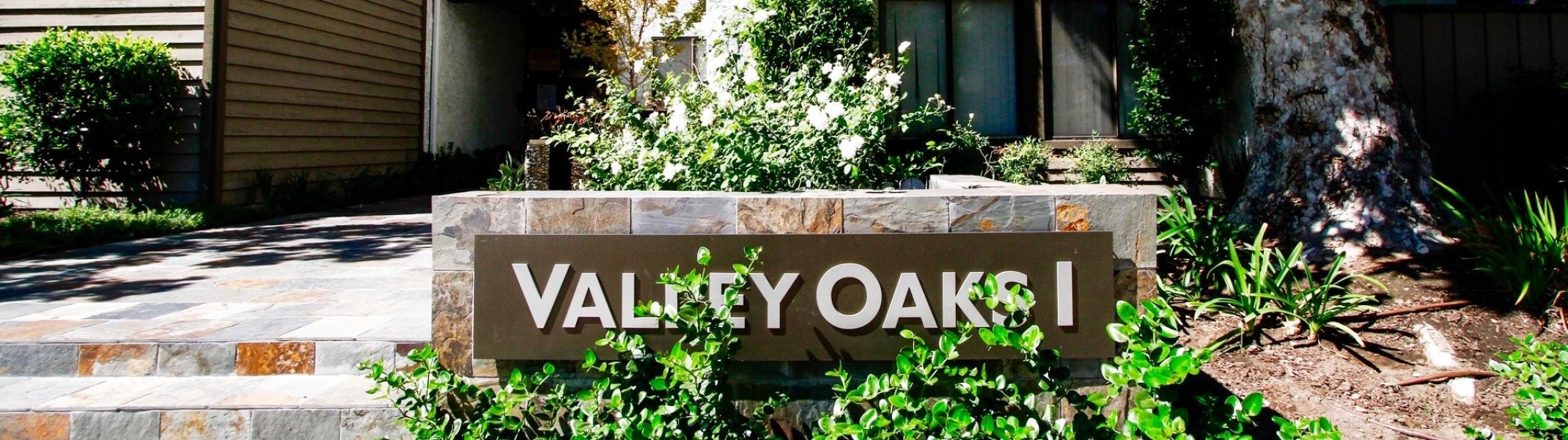 Valley Oaks I