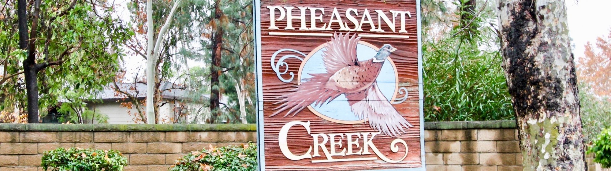 Pheasant Creek
