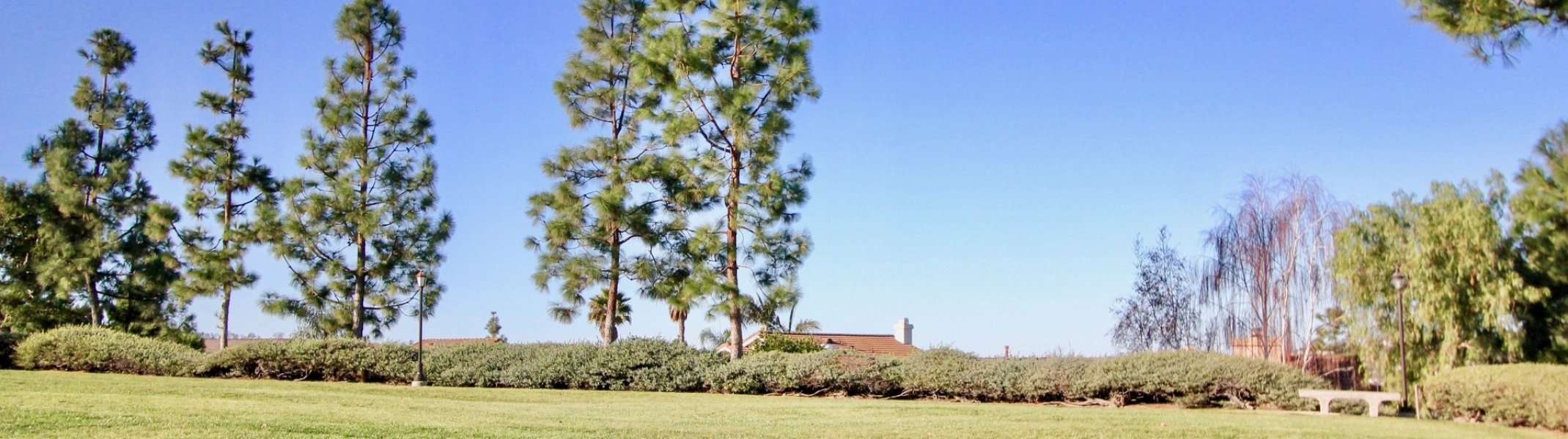 Loma Vista
