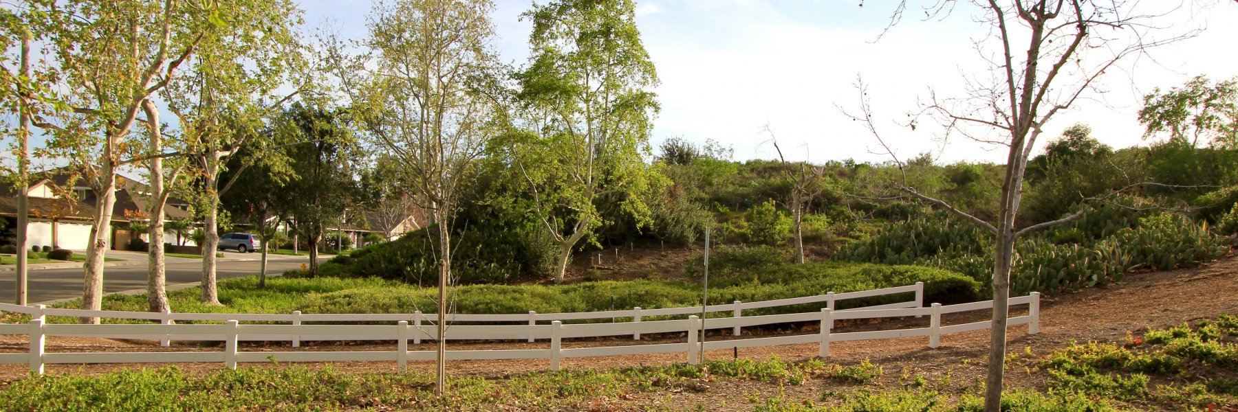 Montbury on the Hill Real Estate Weekly Market Update