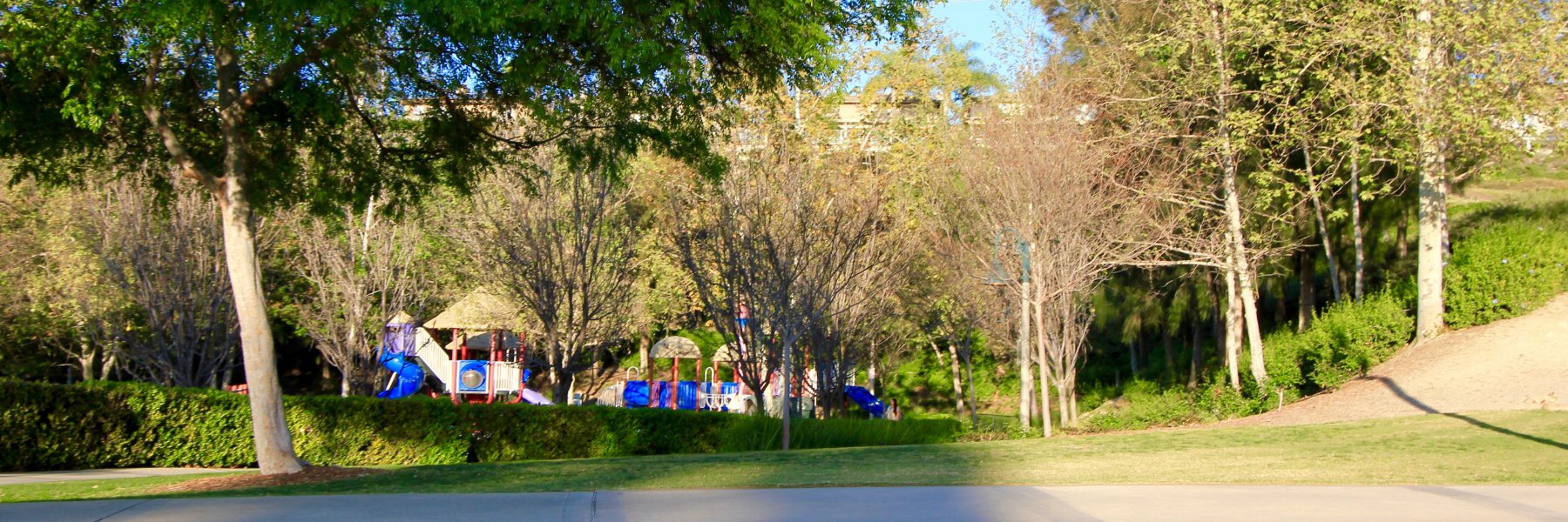 Canyon Crest Mission Viejo Real Estate Weekly Update