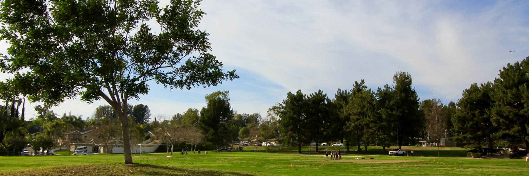 Cordova South Mission Viejo Real Estate Weekly Update