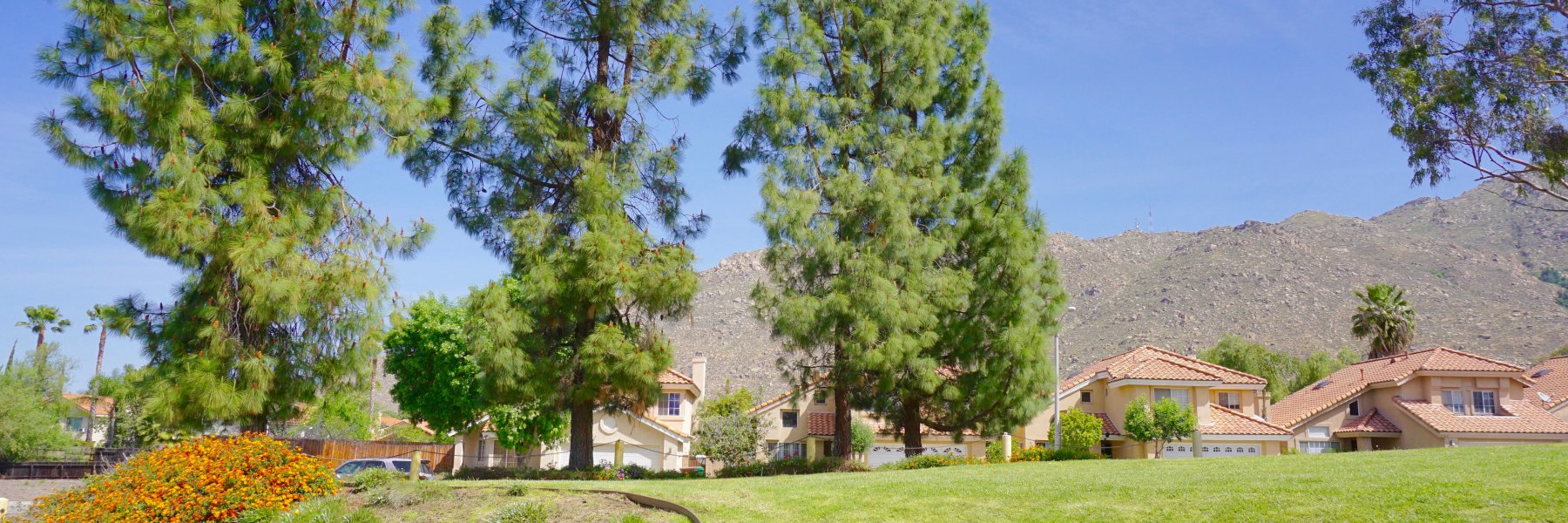 Box Springs Moreno Valley Real Estate Weekly Update