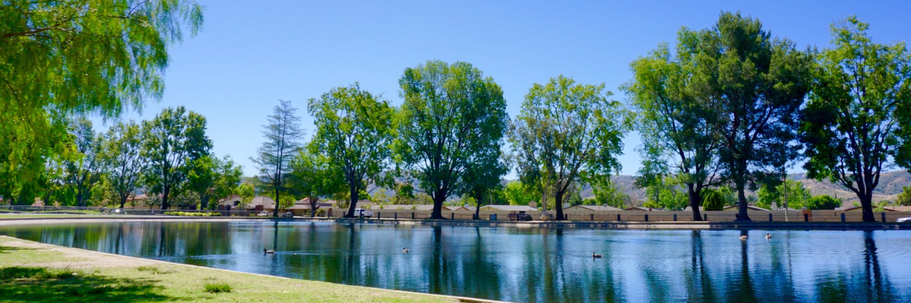 Indian Hills Real Estate Weekly Market Update