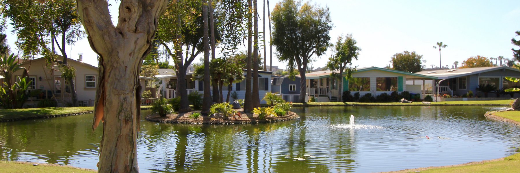 Lakeshore Gardens Carlsbad Real Estate Weekly Update