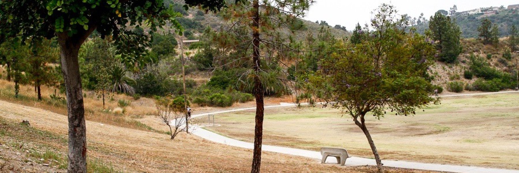 Del Cerro Real Estate Weekly Market Update