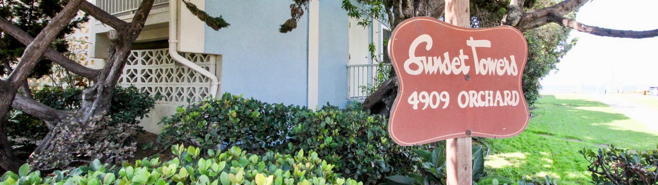 Ocean Beach Real Estate Weekly Update