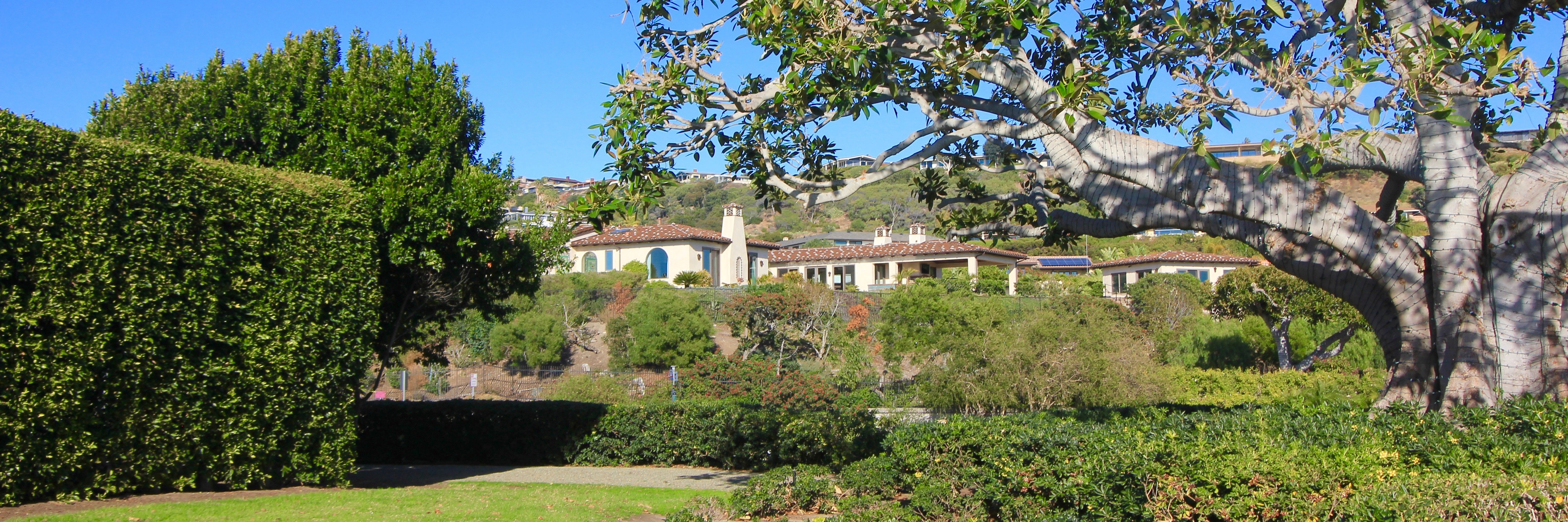 Monarch Bay Terrace Real Estate Weekly Market Update