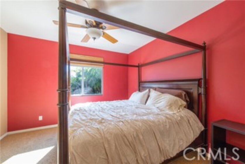 27181 White Alder Court Photo