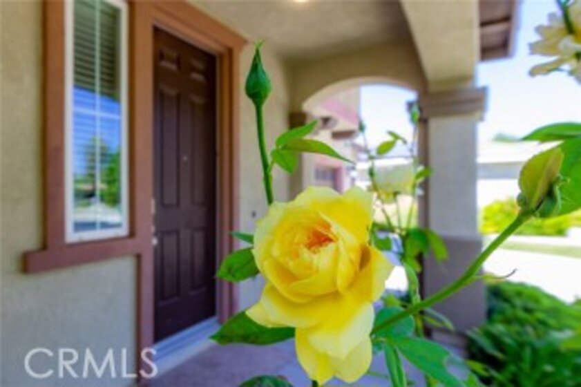 29135 Sundial Circle Photo