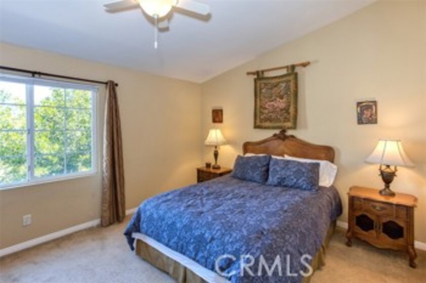 31675 Wintergreen Photo