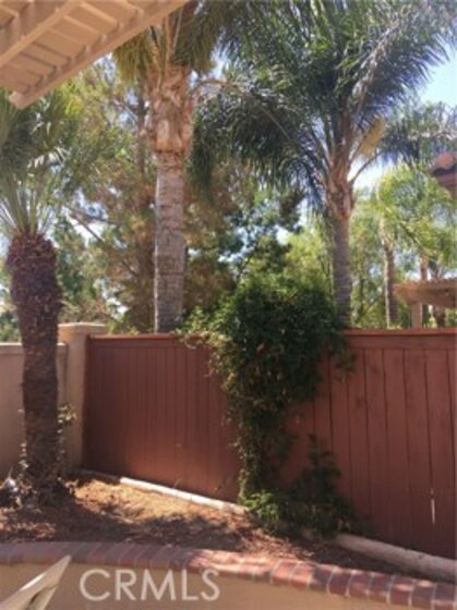 31418 Royal Oaks Drive Photo