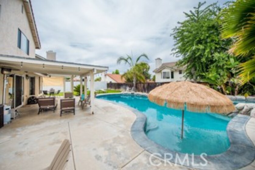 25448 Day Lily Photo