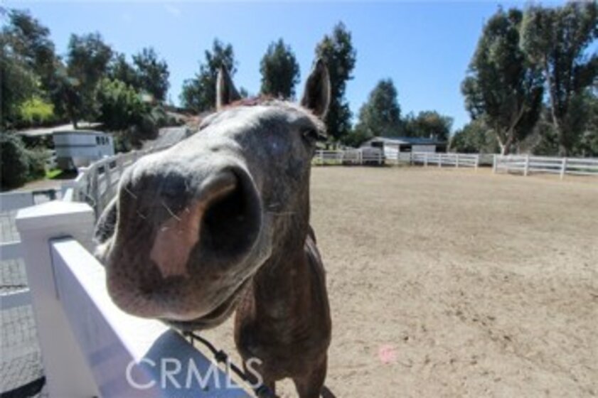 30164 Via Corsica Photo