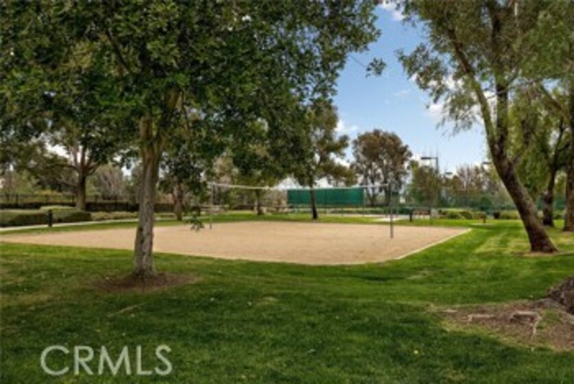 41176 Promenade Chardonnay Photo