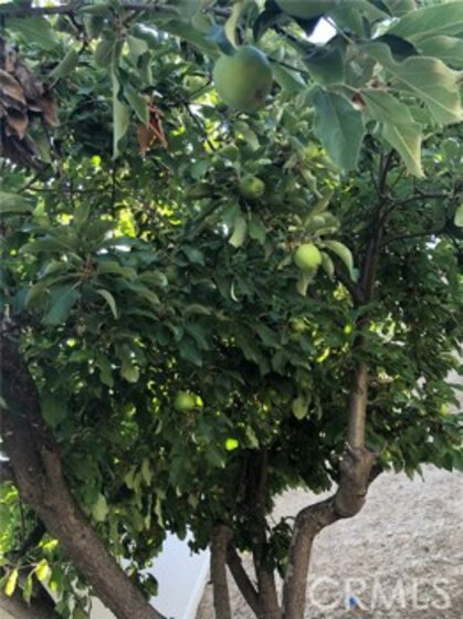 39719 Oak Cliff Drive Photo