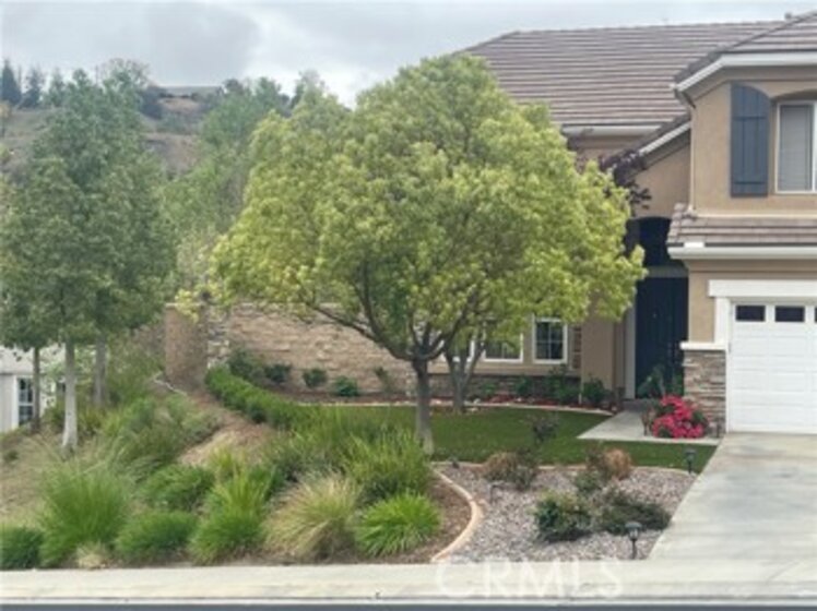 26467 Abelia Street Photo